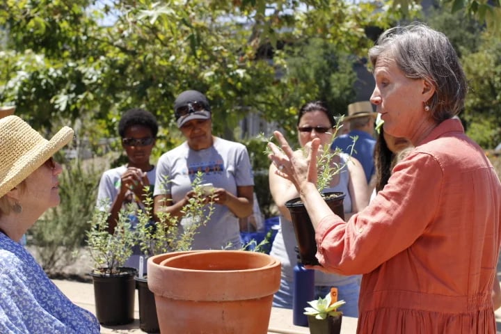 Grow Native! Gardening Club